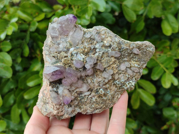 Natural Smokey Amethyst Window Quartz Specimens x 4 From Brandberg, Namibia