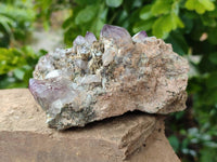 Natural Smokey Amethyst Window Quartz Specimens x 4 From Brandberg, Namibia