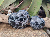 Polished Gabbro Merlinite Hearts x 2 From Ambatofinandrahana, Madagascar