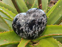 Polished Gabbro Merlinite Hearts x 2 From Ambatofinandrahana, Madagascar