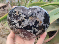 Polished Gabbro Merlinite Hearts x 2 From Ambatofinandrahana, Madagascar