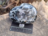 Polished Gabbro Merlinite Hearts x 2 From Ambatofinandrahana, Madagascar