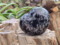 Polished Gabbro Merlinite Hearts x 2 From Ambatofinandrahana, Madagascar