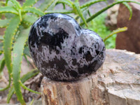 Polished Gabbro Merlinite Hearts x 2 From Ambatofinandrahana, Madagascar