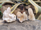 Natural Golden Limonite Coated Spirit Quartz Crystals x 35 From Boekenhouthoek, South Africa - Toprock Gemstones and Minerals 