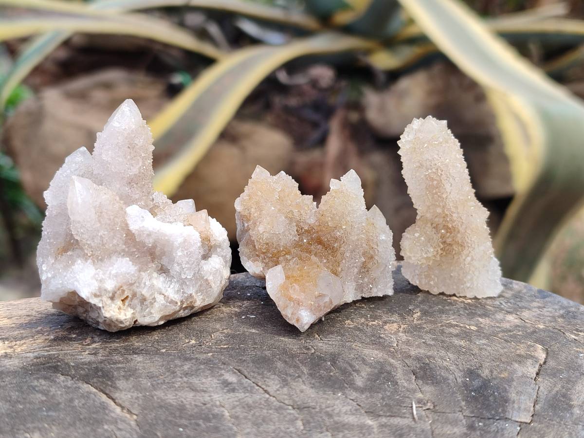 Natural Golden Limonite Coated Spirit Quartz Crystals x 35 From Boekenhouthoek, South Africa - Toprock Gemstones and Minerals 