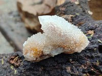 Natural Golden Limonite Coated Spirit Quartz Crystals x 35 From Boekenhouthoek, South Africa