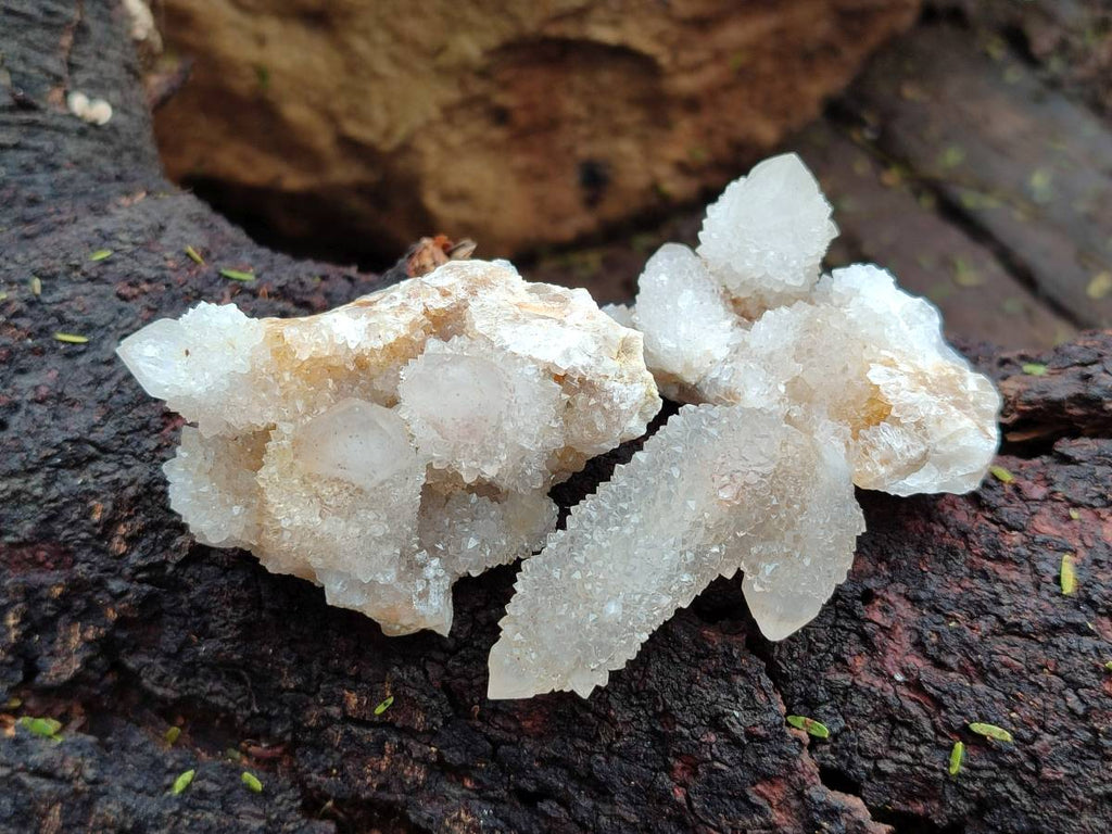 Natural Golden Limonite Coated Spirit Quartz Crystals x 35 From Boekenhouthoek, South Africa - Toprock Gemstones and Minerals 