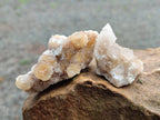 Natural Golden Limonite Coated Spirit Quartz Crystals x 35 From Boekenhouthoek, South Africa - Toprock Gemstones and Minerals 