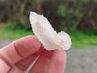 Natural Golden Limonite Coated Spirit Quartz Crystals x 35 From Boekenhouthoek, South Africa