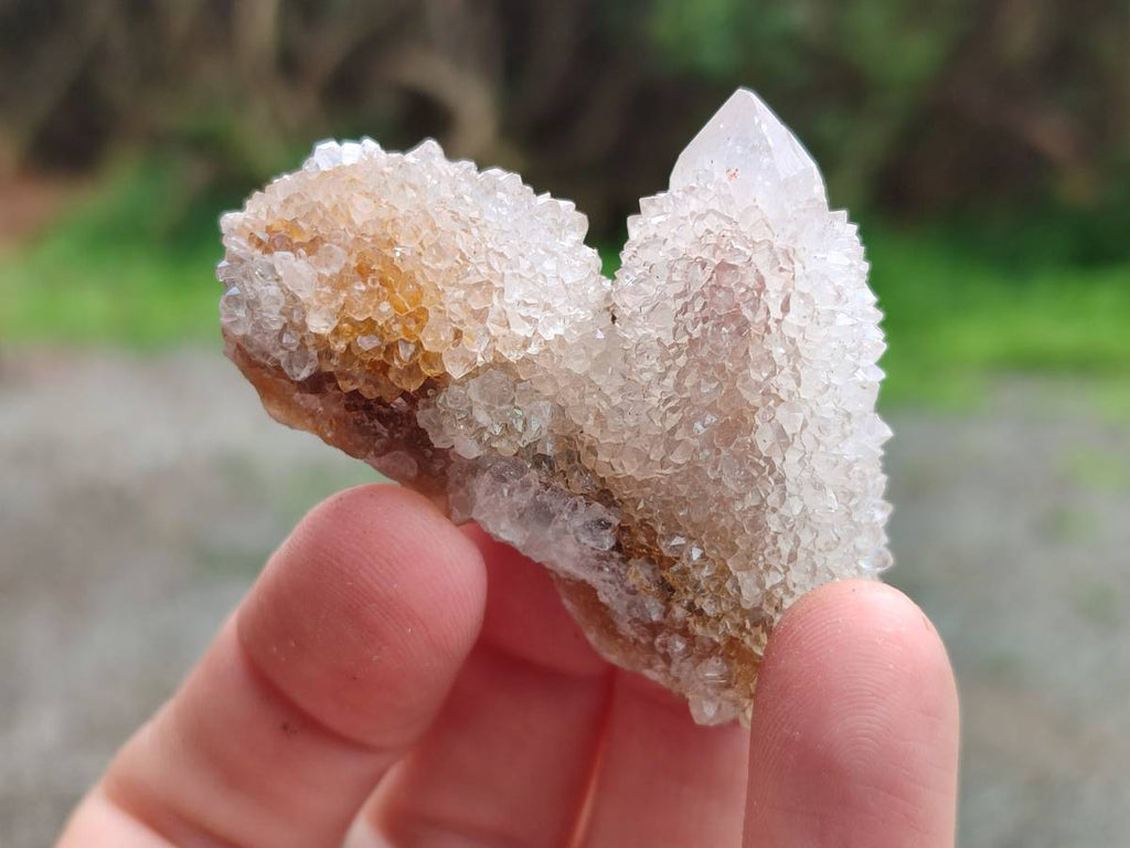 Natural Golden Limonite Coated Spirit Quartz Crystals x 35 From Boekenhouthoek, South Africa - Toprock Gemstones and Minerals 