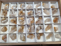 Natural Golden Limonite Coated Spirit Quartz Crystals x 35 From Boekenhouthoek, South Africa