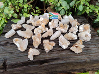 Natural Golden Limonite Coated Spirit Quartz Crystals x 35 From Boekenhouthoek, South Africa