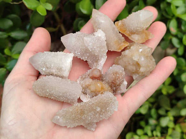 Natural Golden Limonite Coated Spirit Quartz Crystals x 35 From Boekenhouthoek, South Africa