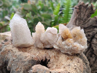 Natural Golden Limonite Coated Spirit Quartz Crystals x 35 From Boekenhouthoek, South Africa
