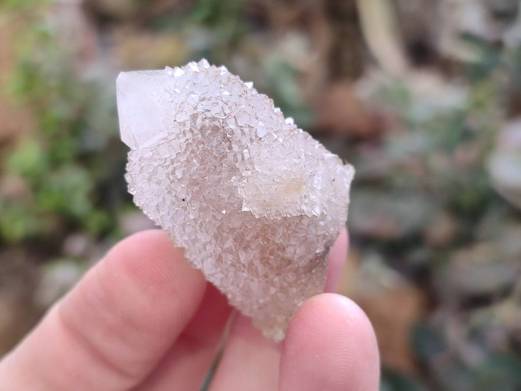 Natural Golden Limonite Coated Spirit Quartz Crystals x 35 From Boekenhouthoek, South Africa - Toprock Gemstones and Minerals 