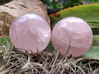 Polished Rose Quartz Spheres x 4 Madagascar