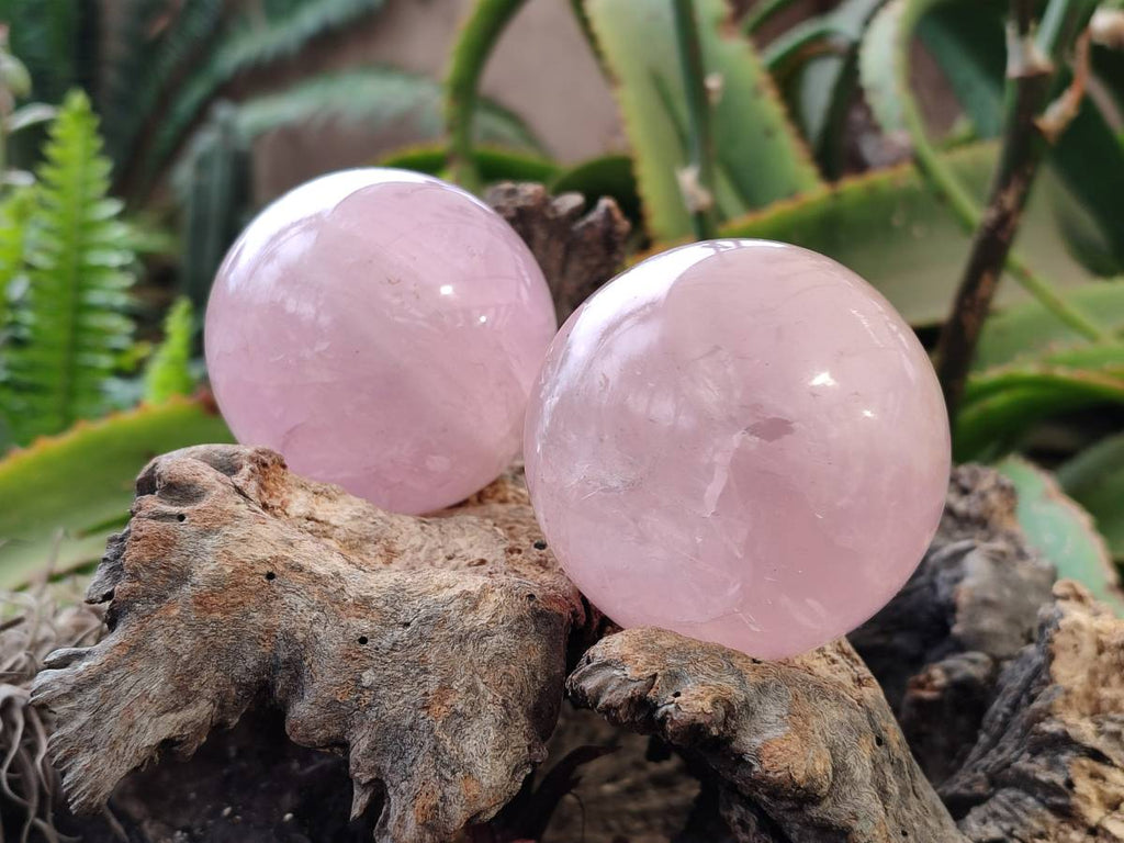 Polished Rose Quartz Spheres x 4 Madagascar - Toprock Gemstones and Minerals 