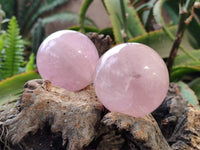 Polished Rose Quartz Spheres x 4 Madagascar
