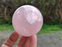 Polished Rose Quartz Spheres x 4 Madagascar