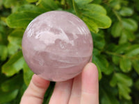 Polished Rose Quartz Spheres x 4 Madagascar