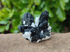 Natural Schorl Black Tourmaline Specimens x 35 From Namibia - Toprock Gemstones and Minerals 