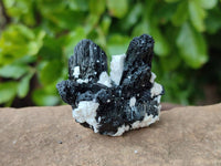 Natural Schorl Black Tourmaline Specimens x 35 From Namibia