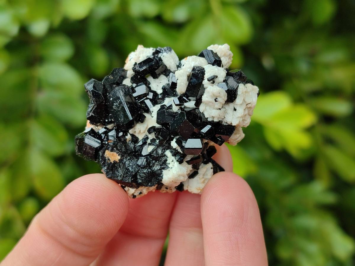 Natural Schorl Black Tourmaline Specimens x 35 From Namibia - Toprock Gemstones and Minerals 