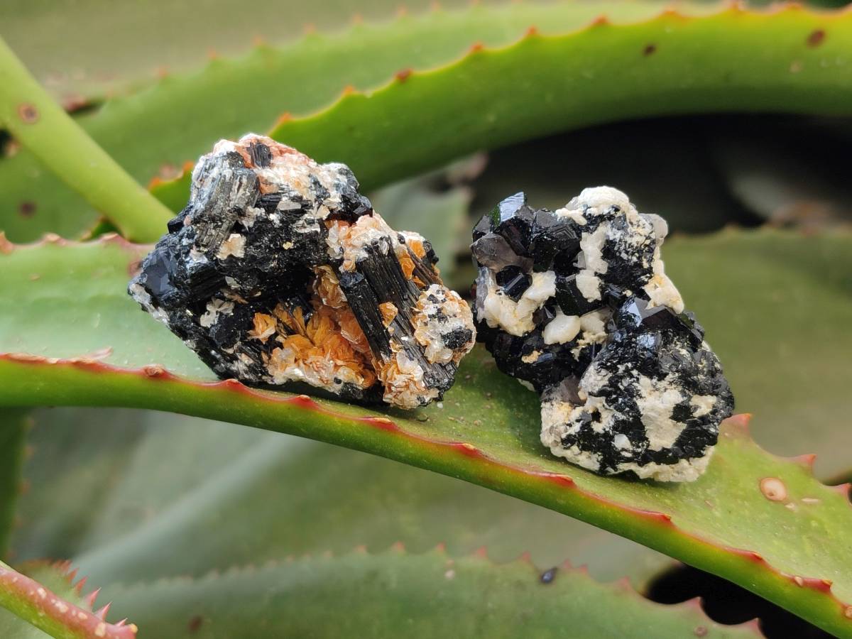 Natural Schorl Black Tourmaline Specimens x 35 From Namibia - Toprock Gemstones and Minerals 