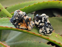 Natural Schorl Black Tourmaline Specimens x 35 From Namibia