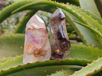 Polished Smokey Window Amethyst Quartz Crystals x 12 From Akansobe, Madagascar