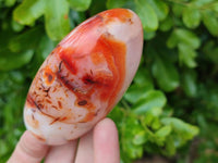 Polished Carnelian Agate Standing Free Forms x 6 From Madagascar - Toprock Gemstones and Minerals 
