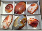 Polished Carnelian Agate Standing Free Forms x 6 From Madagascar - Toprock Gemstones and Minerals 
