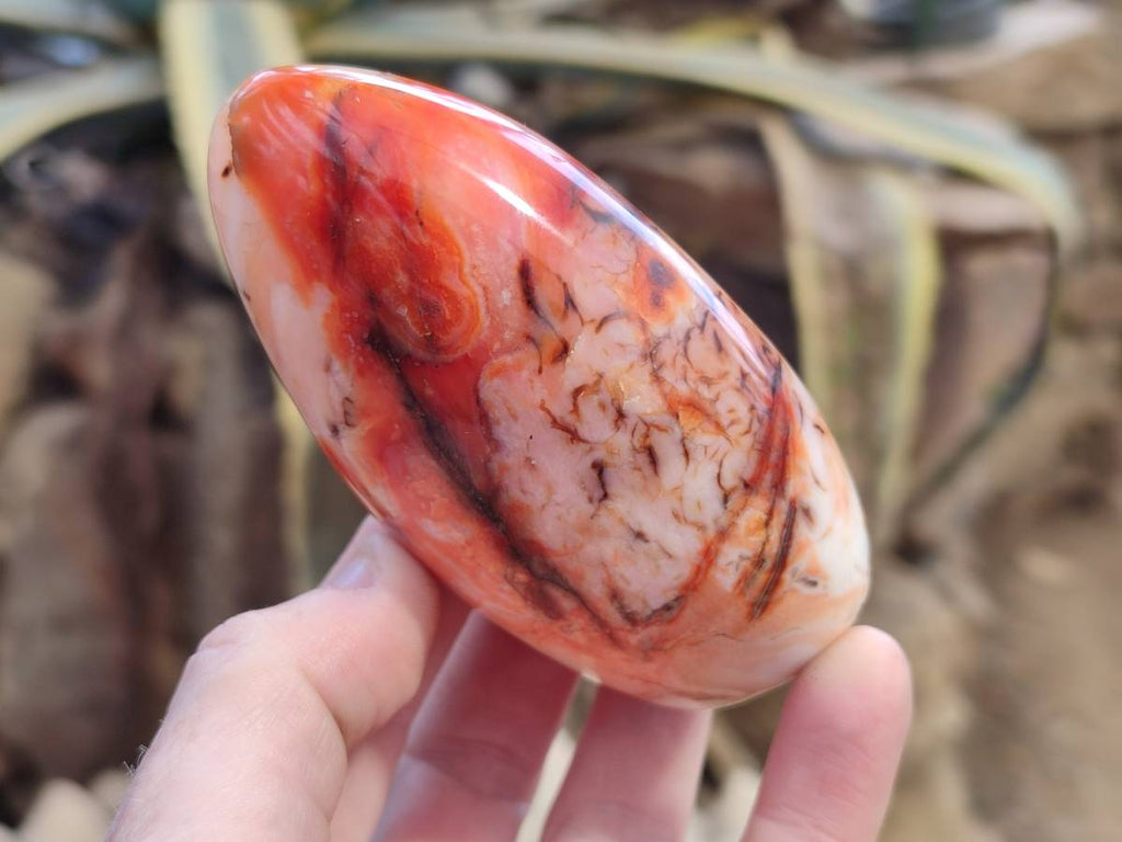 Polished Carnelian Agate Standing Free Forms x 6 From Madagascar - Toprock Gemstones and Minerals 