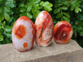 Polished Carnelian Agate Standing Free Forms x 6 From Madagascar - Toprock Gemstones and Minerals 