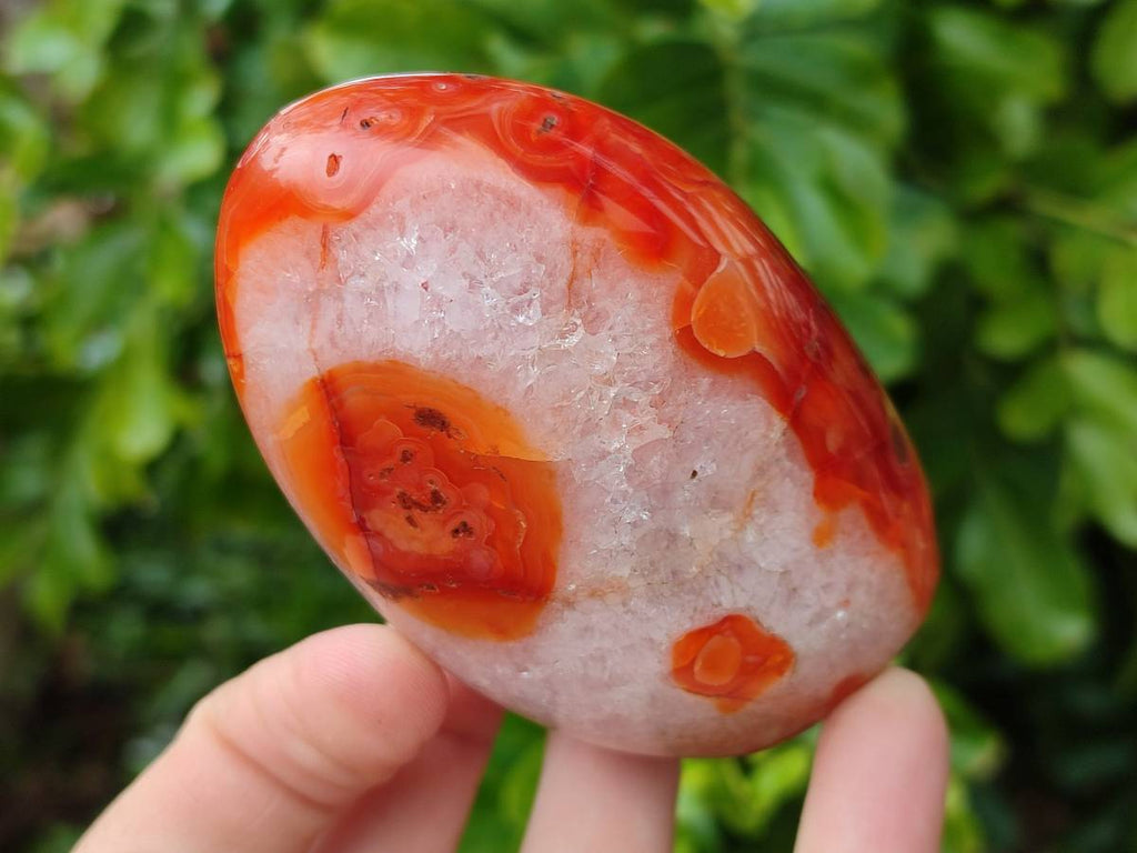 Polished Carnelian Agate Standing Free Forms x 6 From Madagascar - Toprock Gemstones and Minerals 