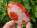 Polished Carnelian Agate Standing Free Forms x 6 From Madagascar - Toprock Gemstones and Minerals 