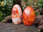 Polished Carnelian Agate Standing Free Forms x 6 From Madagascar - Toprock Gemstones and Minerals 