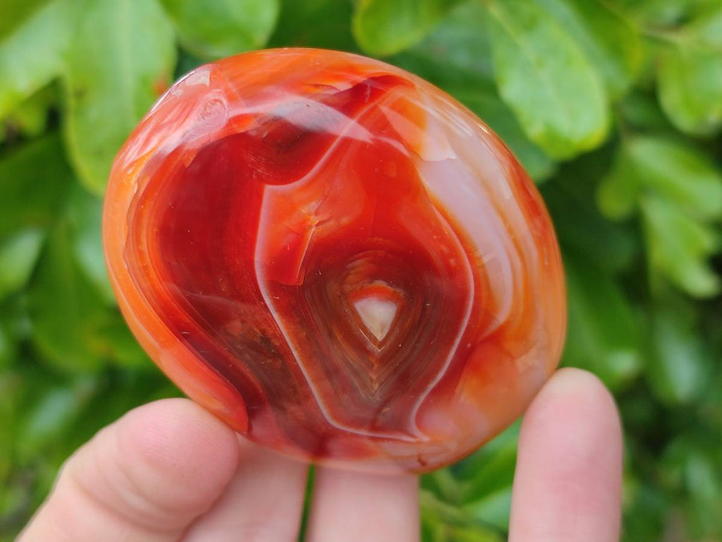 Polished Carnelian Agate Standing Free Forms x 6 From Madagascar - Toprock Gemstones and Minerals 