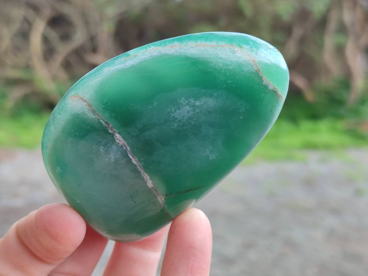 Polished Emerald Mtorolite Free Forms x 6 From Mutorashanga, Zimbabwe - Toprock Gemstones and Minerals 