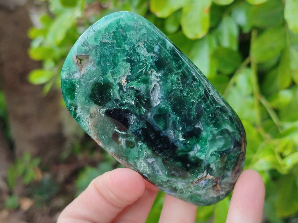 Polished Emerald Mtorolite Free Forms x 6 From Mutorashanga, Zimbabwe - Toprock Gemstones and Minerals 