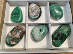 Polished Emerald Mtorolite Free Forms x 6 From Mutorashanga, Zimbabwe - Toprock Gemstones and Minerals 