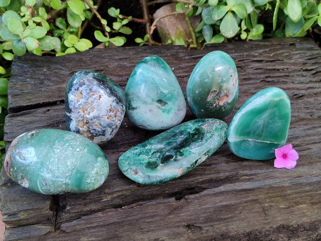 Polished Emerald Mtorolite Free Forms x 6 From Mutorashanga, Zimbabwe - Toprock Gemstones and Minerals 