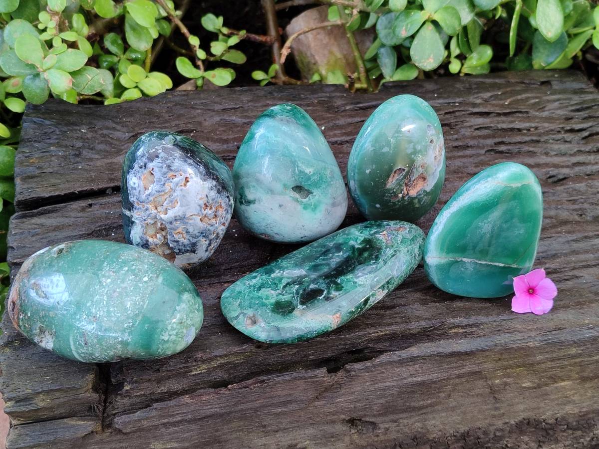 Polished Emerald Mtorolite Free Forms x 6 From Mutorashanga, Zimbabwe - Toprock Gemstones and Minerals 