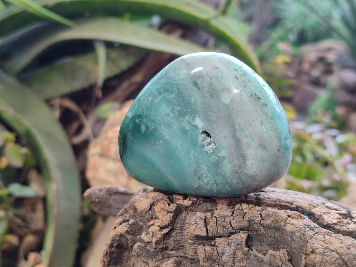 Polished Emerald Mtorolite Free Forms x 6 From Mutorashanga, Zimbabwe - Toprock Gemstones and Minerals 