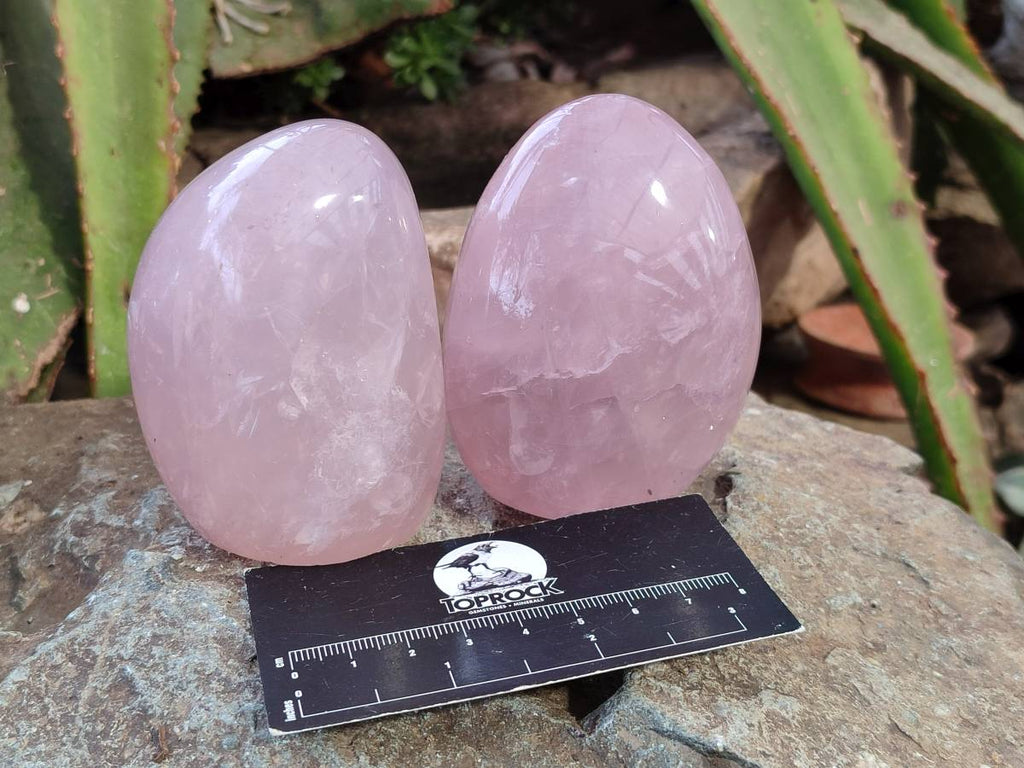 Polished Rose Quartz Standing Free Forms x 4 Madagascar - Toprock Gemstones and Minerals 