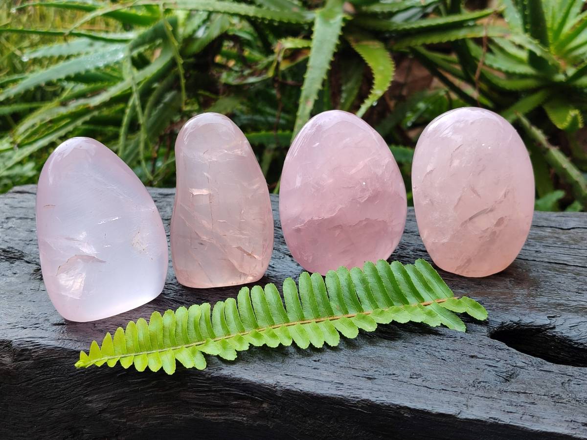 Polished Rose Quartz Standing Free Forms x 4 Madagascar - Toprock Gemstones and Minerals 