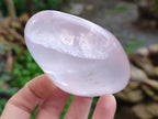Polished Rose Quartz Standing Free Forms x 4 Madagascar - Toprock Gemstones and Minerals 