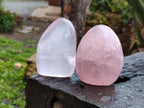 Polished Rose Quartz Standing Free Forms x 4 Madagascar - Toprock Gemstones and Minerals 