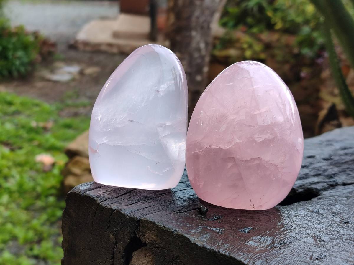 Polished Rose Quartz Standing Free Forms x 4 Madagascar - Toprock Gemstones and Minerals 